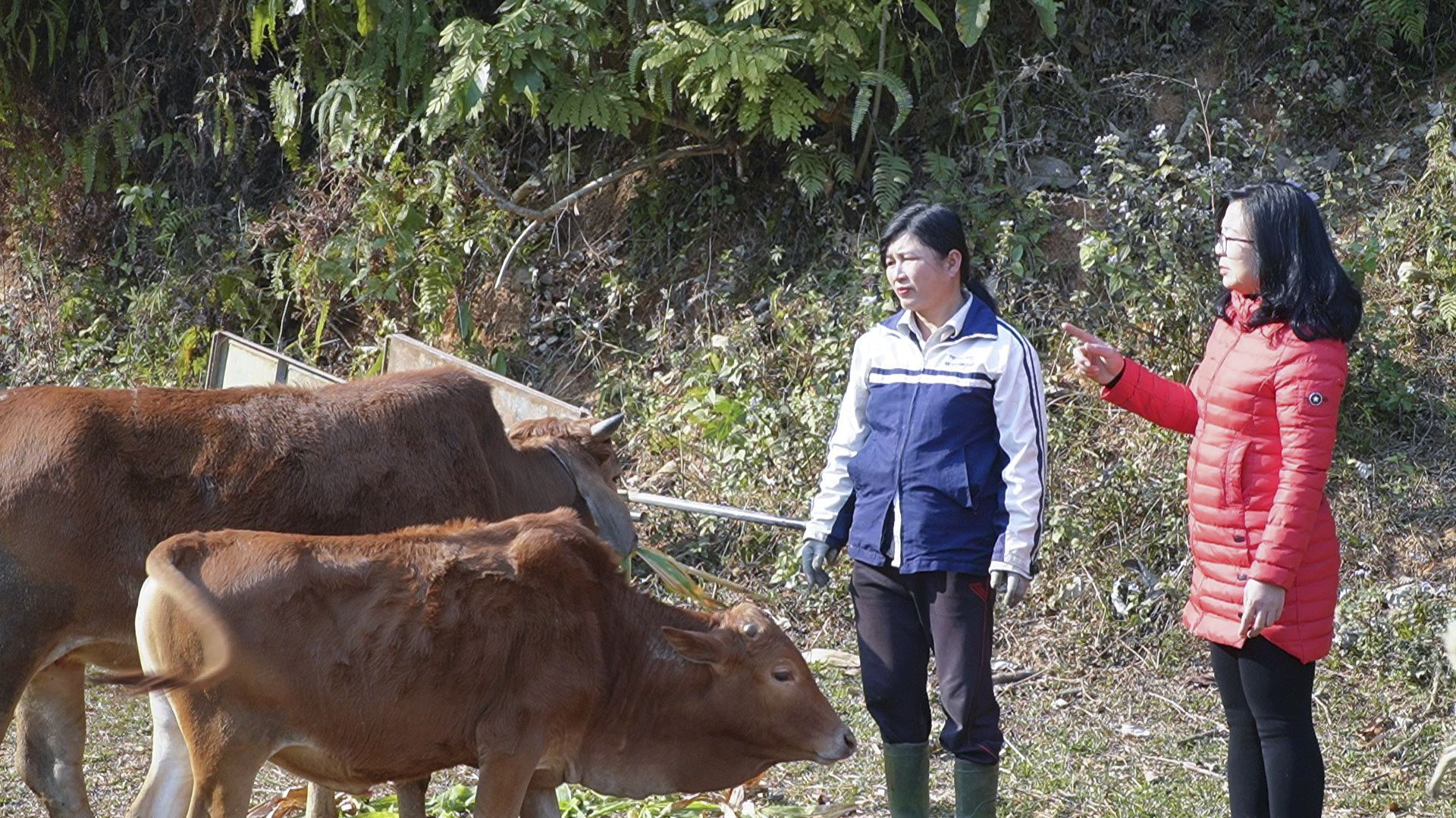 Hiệu quả giảm nghèo từ nguồn vốn tín dụng Ngân hàng CSXH