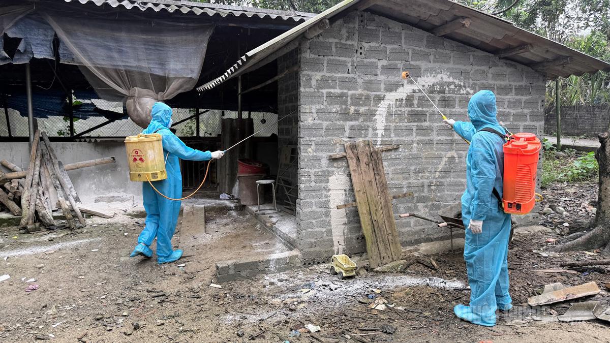 Chiêm Hóa Chủ động vệ sinh khử trùng, tiêm phòng tiêm vắc xin “lá chắn”  bảo vệ đàn vật nuôi và sức khỏe cộng đồng