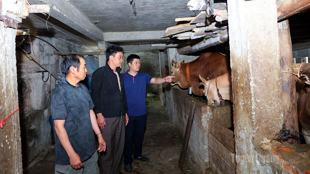 Đòn bẩy giảm nghèo từ những mô hình sinh kế
