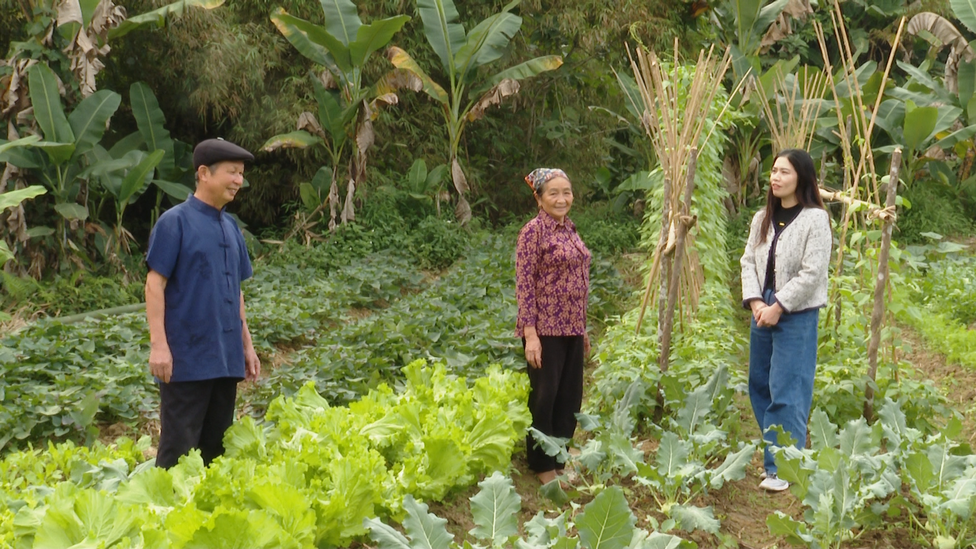 Vai trò của người uy tín trong tuyên truyền nông dân  tập trung sản xuất cây trồng vụ đông hiệu quả kinh tế cao